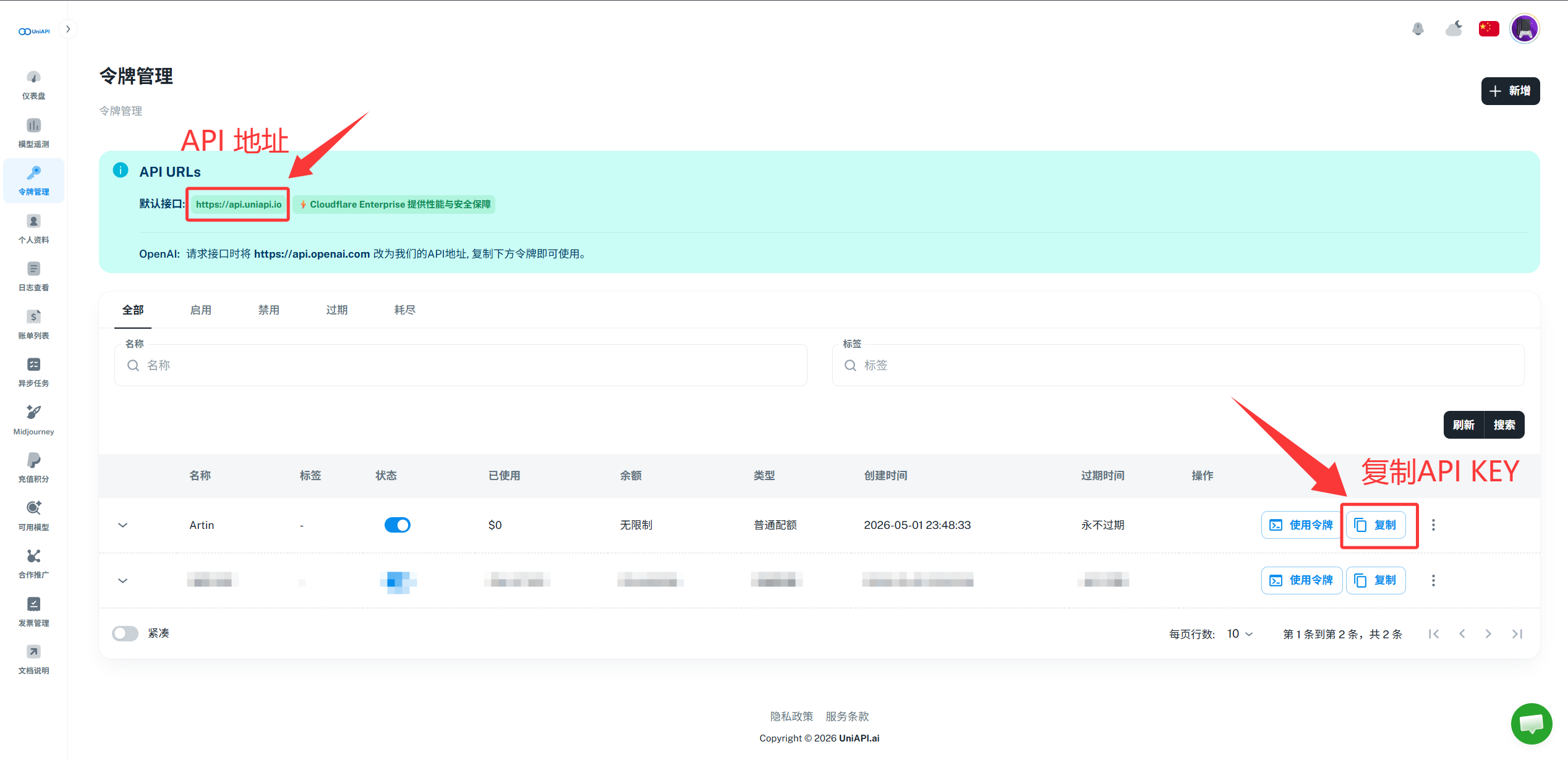 复制 API 地址和 API Key